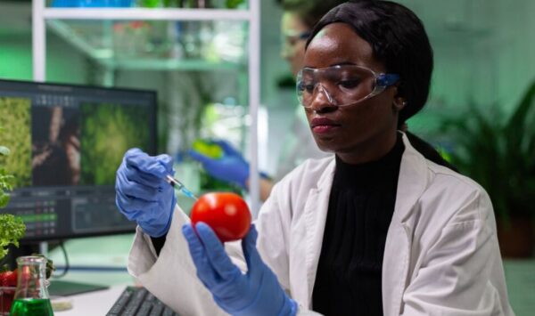 The Ethics of Food Production in the Modern World